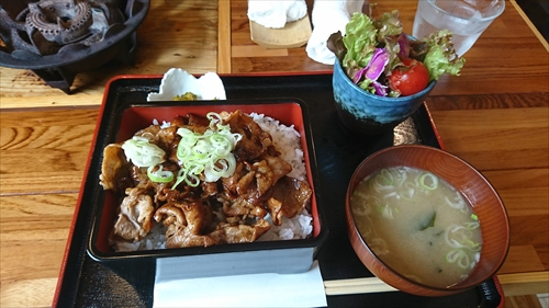 12日・かめ公園に遠足！